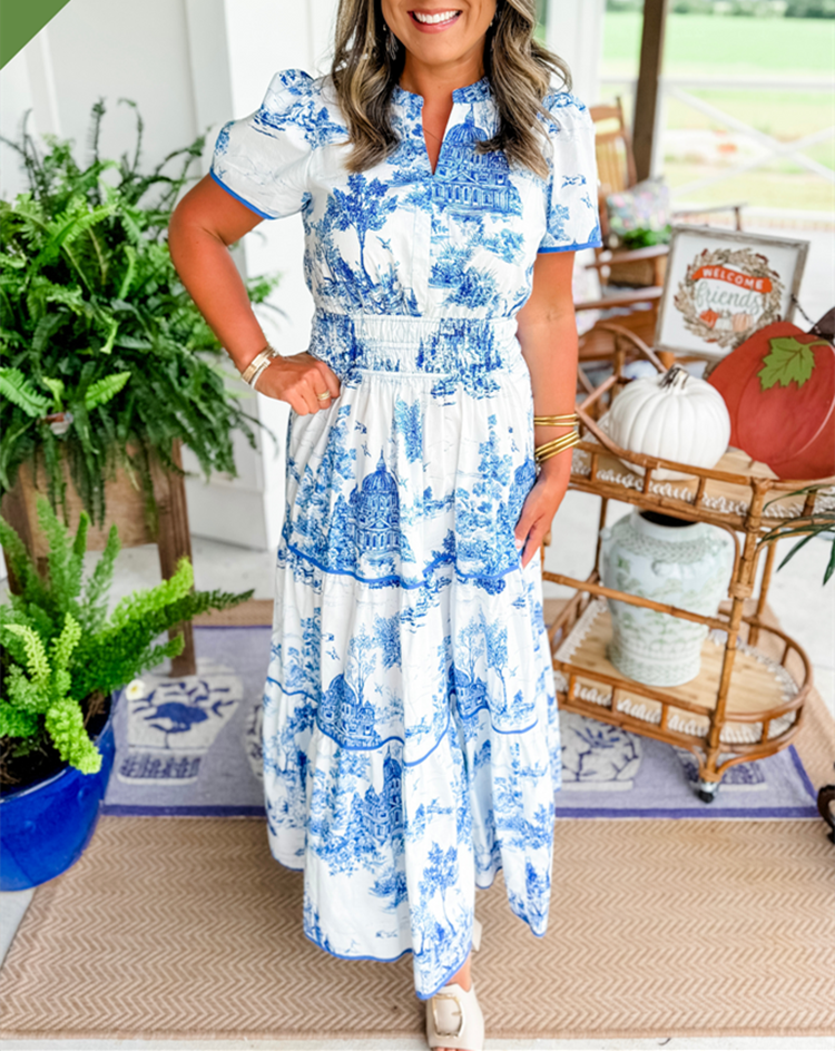 Janice | Toile Maxi Dress view 3