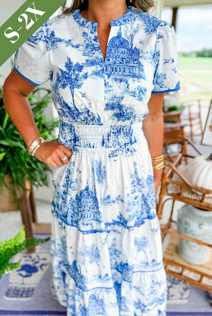 Janice | Toile Maxi Dress view 4