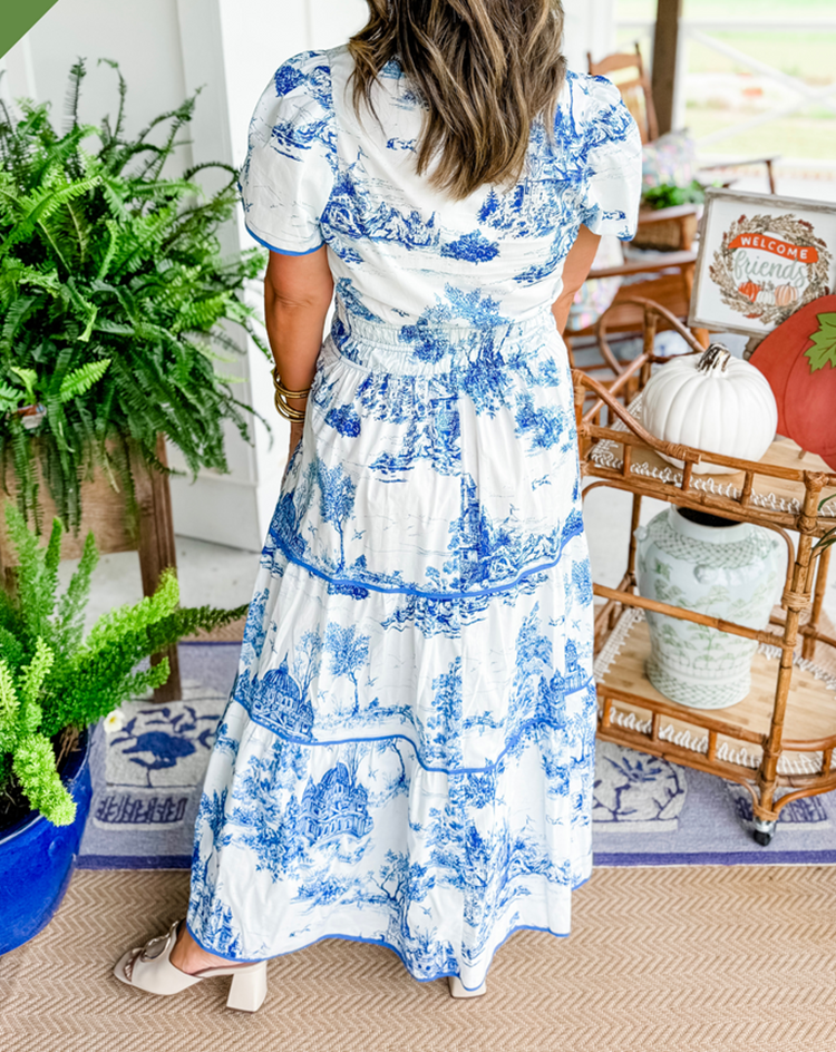 Janice | Toile Maxi Dress view 5