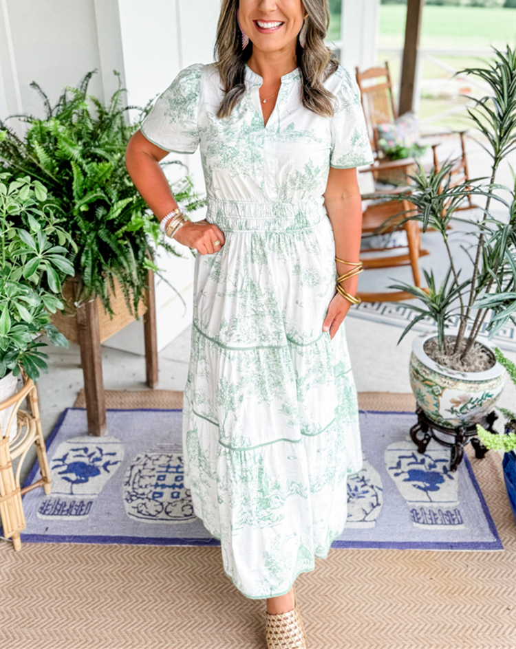 Janice | Toile Maxi Dress view 7