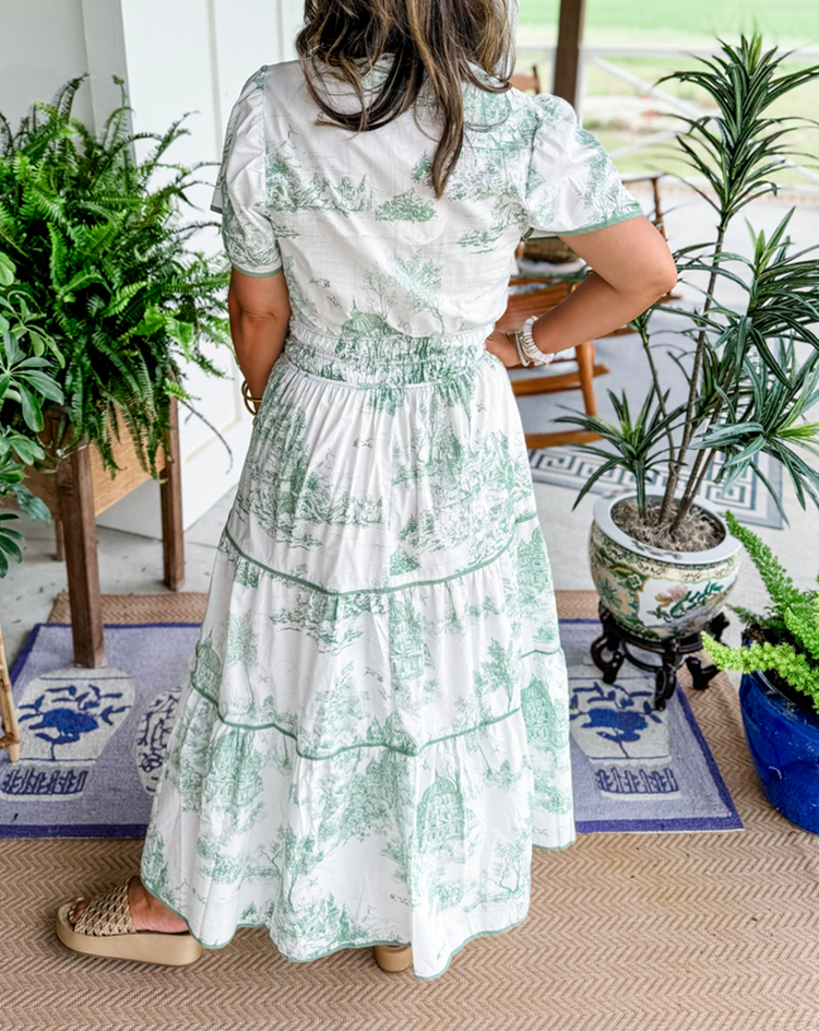 Janice | Toile Maxi Dress view 8