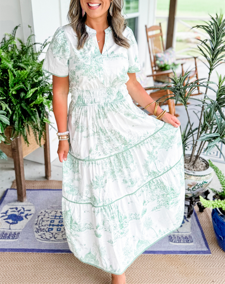 Janice | Toile Maxi Dress view 9